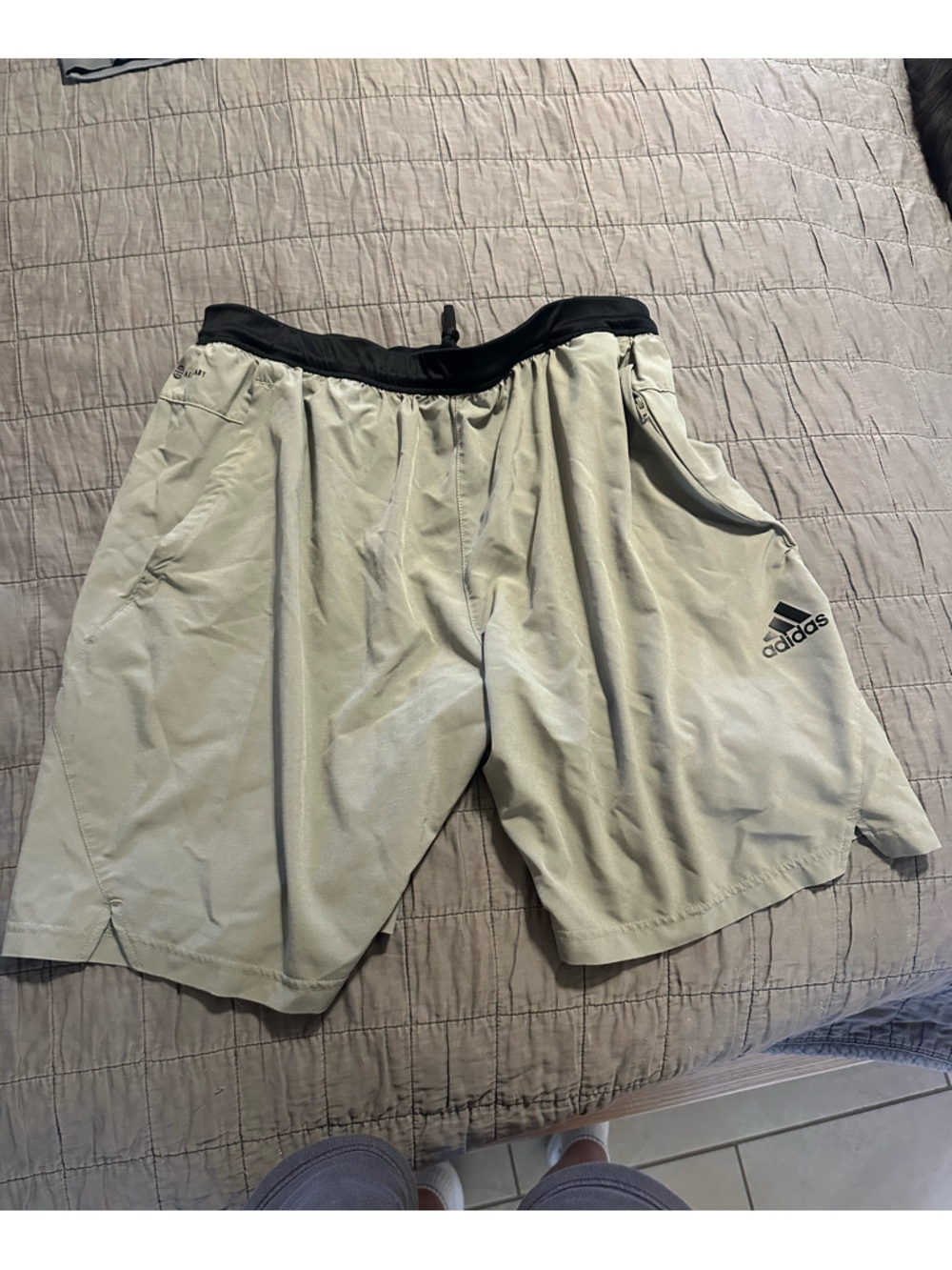 adidas Men's Light Greeb Athletic Shorts with Black Waistband